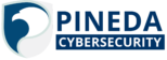 Pineda Cybersecurity