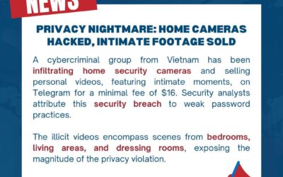 Vietnamese cybercrime incident
