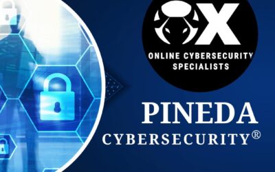 Pineda Cybersecurity® can provide