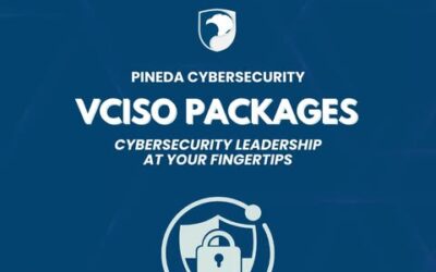 Strengthen Your Cybersecurity with a vCISO! 🔐